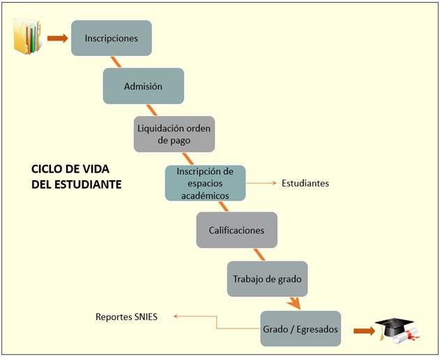 ciclo vida